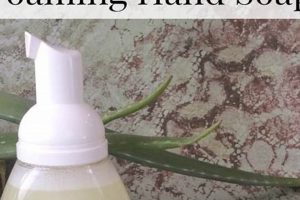 Easy DIY Foaming Hand Soap Recipe: Save Money! | The DIY Hub: Creative Crafts, Repairs & Life Hacks