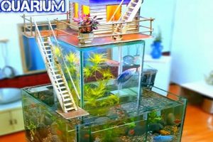 Easy DIY Aquarium Projects: The Ultimate Guide! | The DIY Hub: Creative Crafts, Repairs & Life Hacks