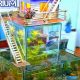 Easy DIY Aquarium Projects: The Ultimate Guide! | The DIY Hub: Creative Crafts, Repairs & Life Hacks