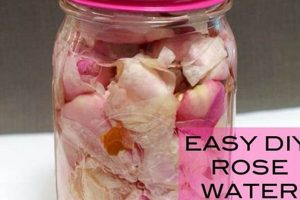 Easy DIY Rose Water Recipe: Benefits & How-To Guide The DIY Hub: Creative Crafts, Repairs & Life Hacks Easy DIY Rose Water Recipe: Benefits & How-To Guide | The DIY Hub: Creative Crafts, Repairs & Life Hacks