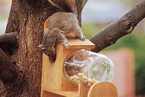 Build a Better DIY Squirrel Feeder: Plans & Ideas The DIY Hub: Creative Crafts, Repairs & Life Hacks Build a Better DIY Squirrel Feeder: Plans & Ideas | The DIY Hub: Creative Crafts, Repairs & Life Hacks
