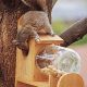 Build a Better DIY Squirrel Feeder: Plans & Ideas | The DIY Hub: Creative Crafts, Repairs & Life Hacks
