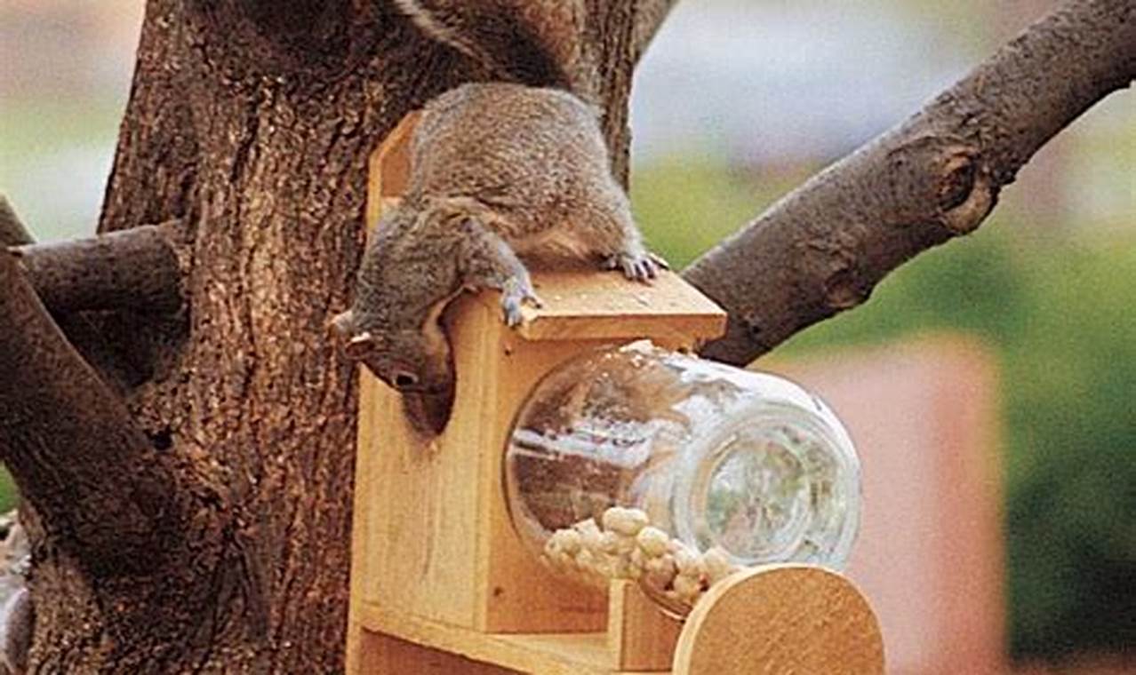 Build a Better DIY Squirrel Feeder: Plans & Ideas The DIY Hub: Creative Crafts, Repairs & Life Hacks Build a Better DIY Squirrel Feeder: Plans & Ideas | The DIY Hub: Creative Crafts, Repairs & Life Hacks