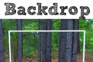 Easy & Cheap DIY Photography Backdrops: Ideas & Tips | The DIY Hub: Creative Crafts, Repairs & Life Hacks