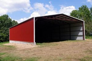 Build Your Own: DIY Metal Buildings Kits Guide | The DIY Hub: Creative Crafts, Repairs & Life Hacks