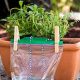 Easy DIY Self Watering Containers: A Smart Guide | The DIY Hub: Creative Crafts, Repairs & Life Hacks