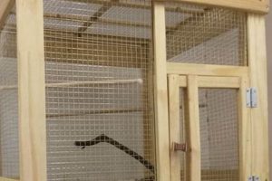 Build Your Own DIY Bird Cage: Plans & Ideas | The DIY Hub: Creative Crafts, Repairs & Life Hacks
