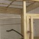 Build Your Own DIY Bird Cage: Plans & Ideas | The DIY Hub: Creative Crafts, Repairs & Life Hacks