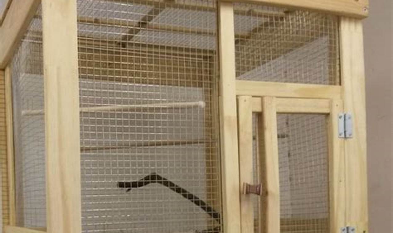 Build Your Own DIY Bird Cage: Plans & Ideas | The DIY Hub: Creative Crafts, Repairs & Life Hacks