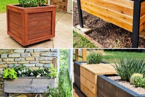 Easy DIY Flower Box Ideas: Build Your Own Today! | The DIY Hub: Creative Crafts, Repairs & Life Hacks