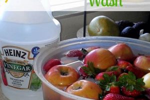 Easy DIY Fruit & Veggie Wash Recipe (Save Money!) | The DIY Hub: Creative Crafts, Repairs & Life Hacks