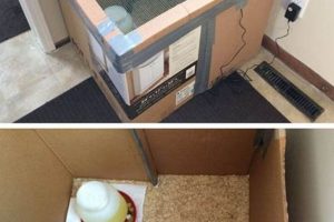 Easy Brooder Box DIY Plans: Build Your Own! | The DIY Hub: Creative Crafts, Repairs & Life Hacks