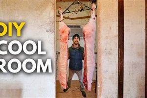 DIY Walk In Cooler: Build Your Own Economical Cold Room | The DIY Hub: Creative Crafts, Repairs & Life Hacks