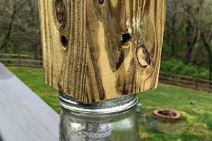 Easy Carpenter Bee Trap DIY: Build Your Own! | The DIY Hub: Creative Crafts, Repairs & Life Hacks