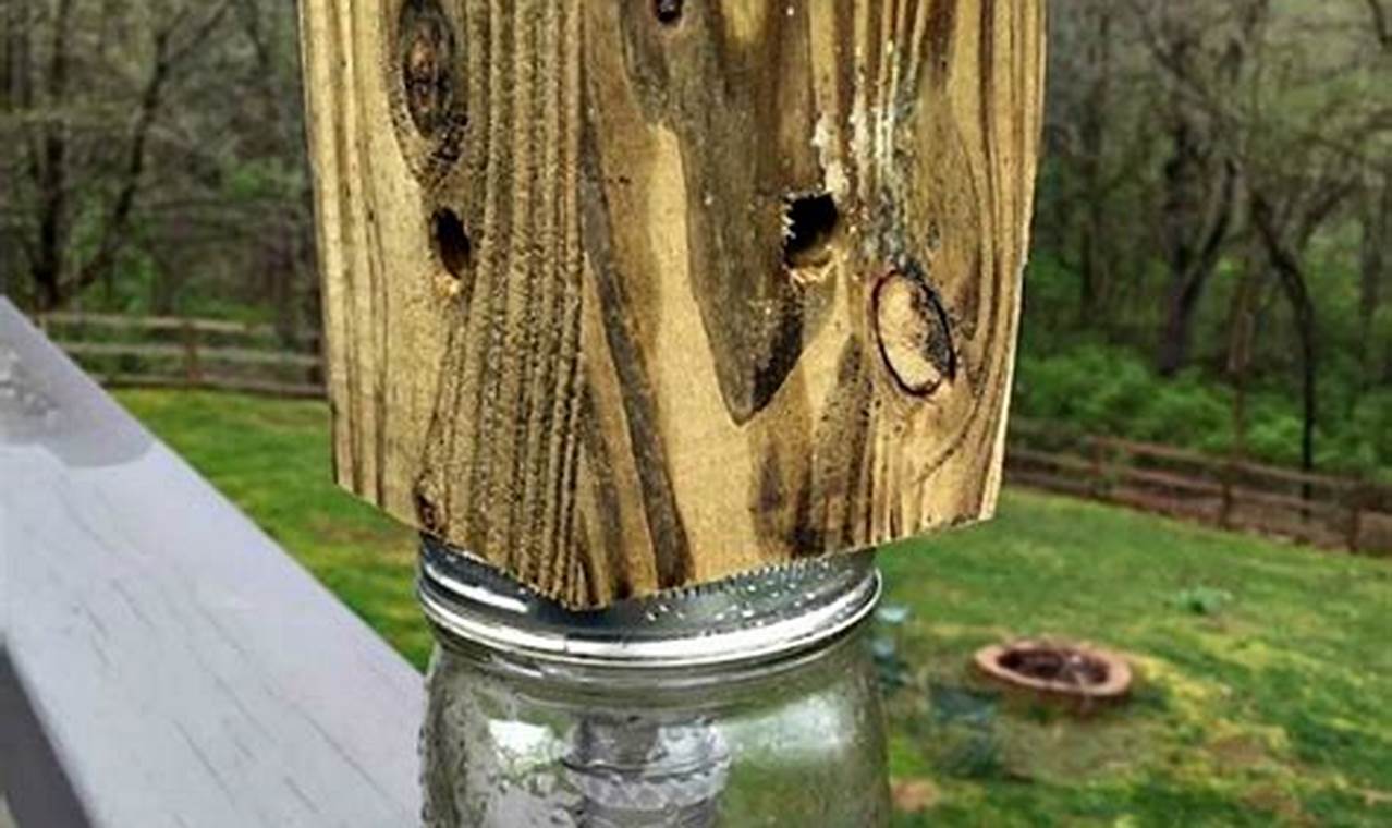 Easy Carpenter Bee Trap DIY: Build Your Own! | The DIY Hub: Creative Crafts, Repairs & Life Hacks