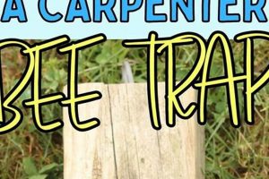 Easy Bee Catcher DIY Project: Build Yours Today! | The DIY Hub: Creative Crafts, Repairs & Life Hacks