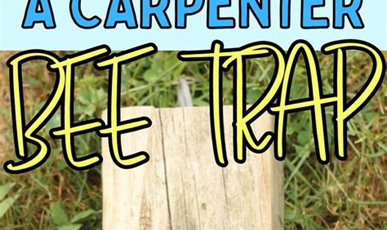 Easy Bee Catcher DIY Project: Build Yours Today! | The DIY Hub: Creative Crafts, Repairs & Life Hacks