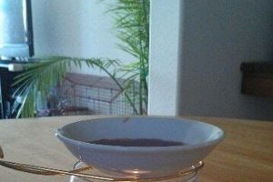 Easy DIY Candle Warmer: Create Your Own! | The DIY Hub: Creative Crafts, Repairs & Life Hacks