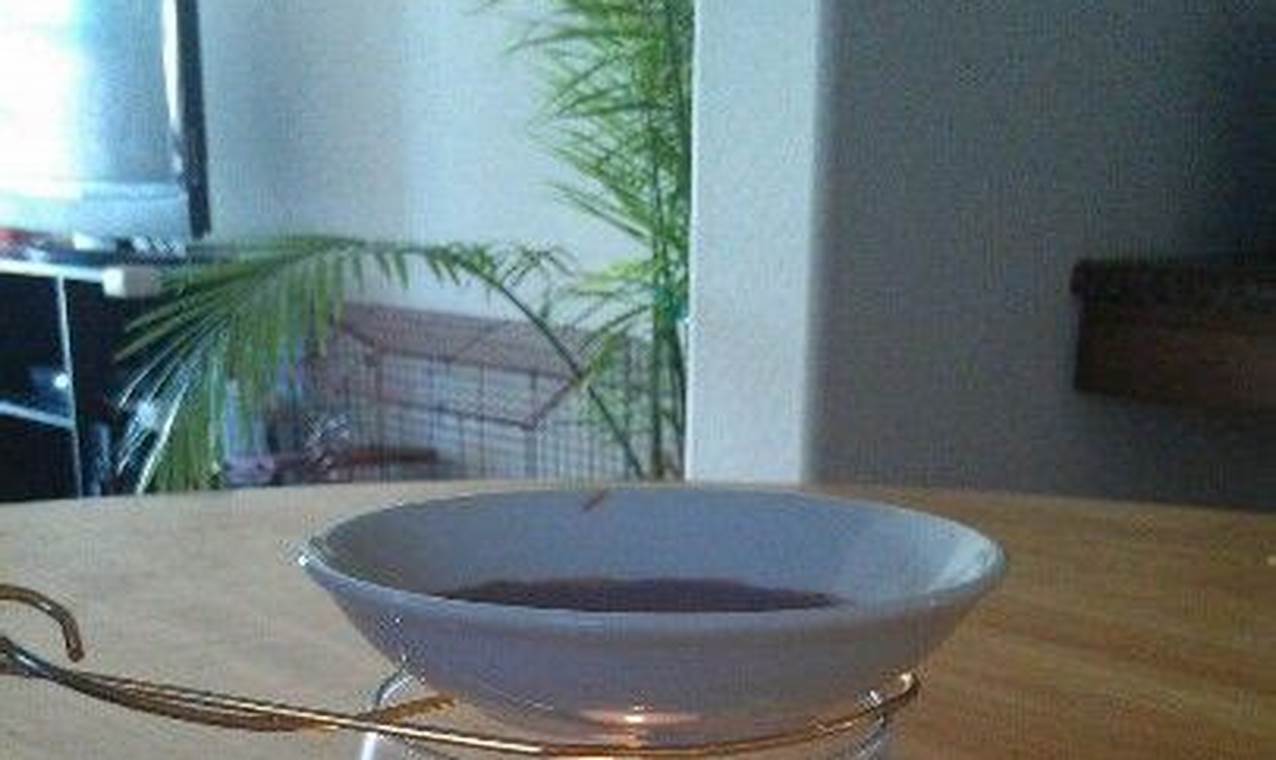 Easy DIY Candle Warmer: Create Your Own! | The DIY Hub: Creative Crafts, Repairs & Life Hacks