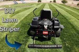 DIY Lawn Striper: Pro Stripes On A Budget | The DIY Hub: Creative Crafts, Repairs & Life Hacks