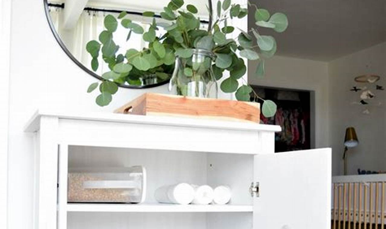 Clever DIY Kitty Litter Cabinet Ideas You Can Build | The DIY Hub: Creative Crafts, Repairs & Life Hacks