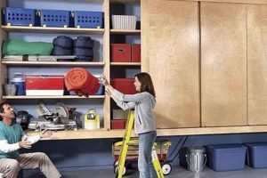Easy DIY Garage Cabinets: Plans &amp; Storage Solutions | The DIY Hub: Creative Crafts, Repairs & Life Hacks