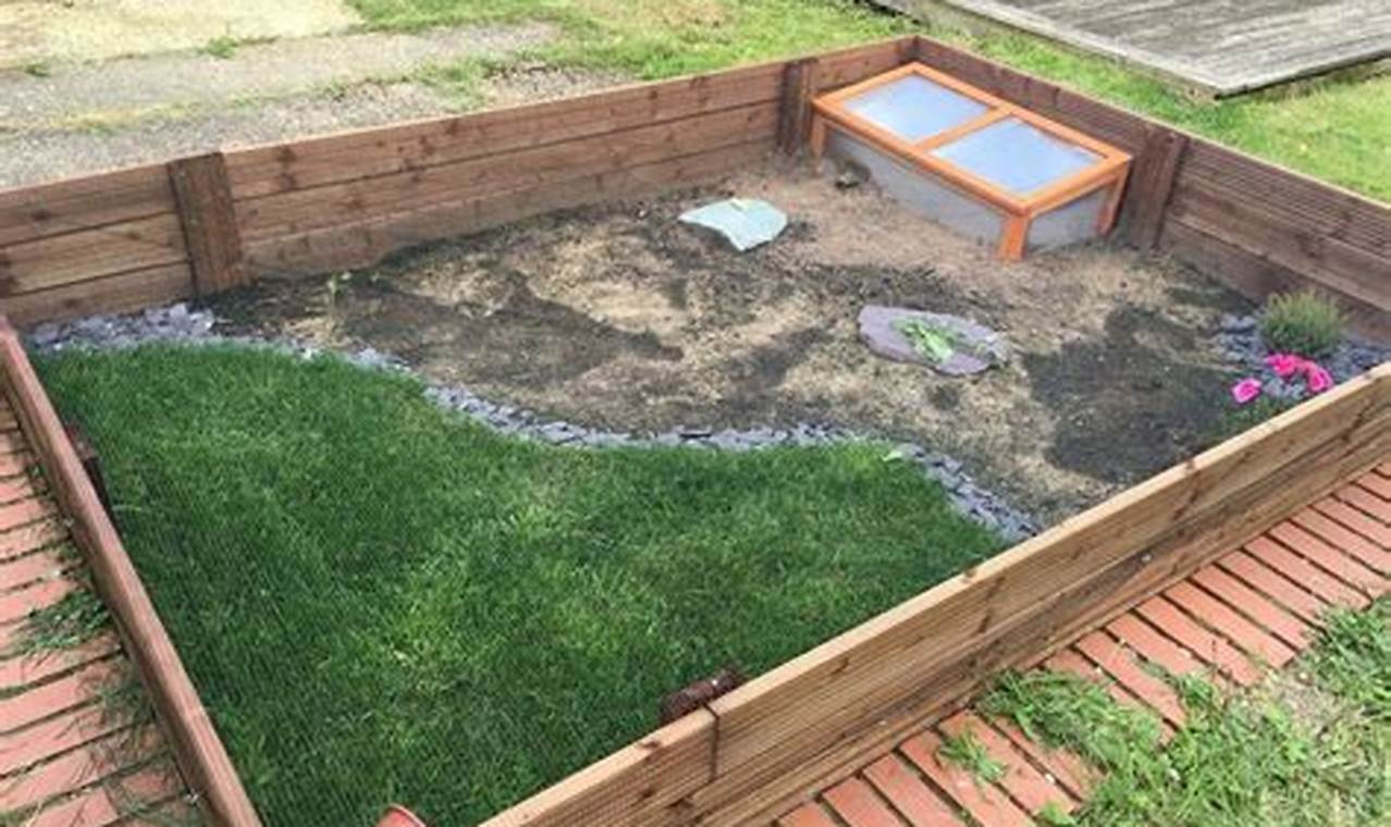 Build a Budget DIY Tortoise Enclosure: Easy Guide | The DIY Hub: Creative Crafts, Repairs & Life Hacks