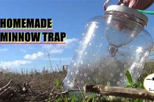 Build a Better Bait: DIY Minnow Trap Secrets | The DIY Hub: Creative Crafts, Repairs & Life Hacks