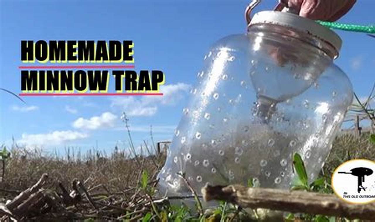 Build a Better Bait: DIY Minnow Trap Secrets | The DIY Hub: Creative Crafts, Repairs & Life Hacks