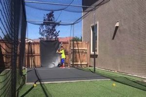 Build a DIY Batting Cage: Easy & Affordable Project | The DIY Hub: Creative Crafts, Repairs & Life Hacks