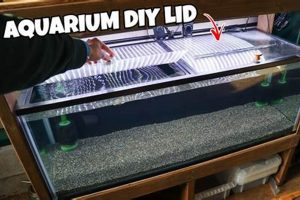 Build Your Own: DIY Fish Tank Lid Guide & Tips | The DIY Hub: Creative Crafts, Repairs & Life Hacks