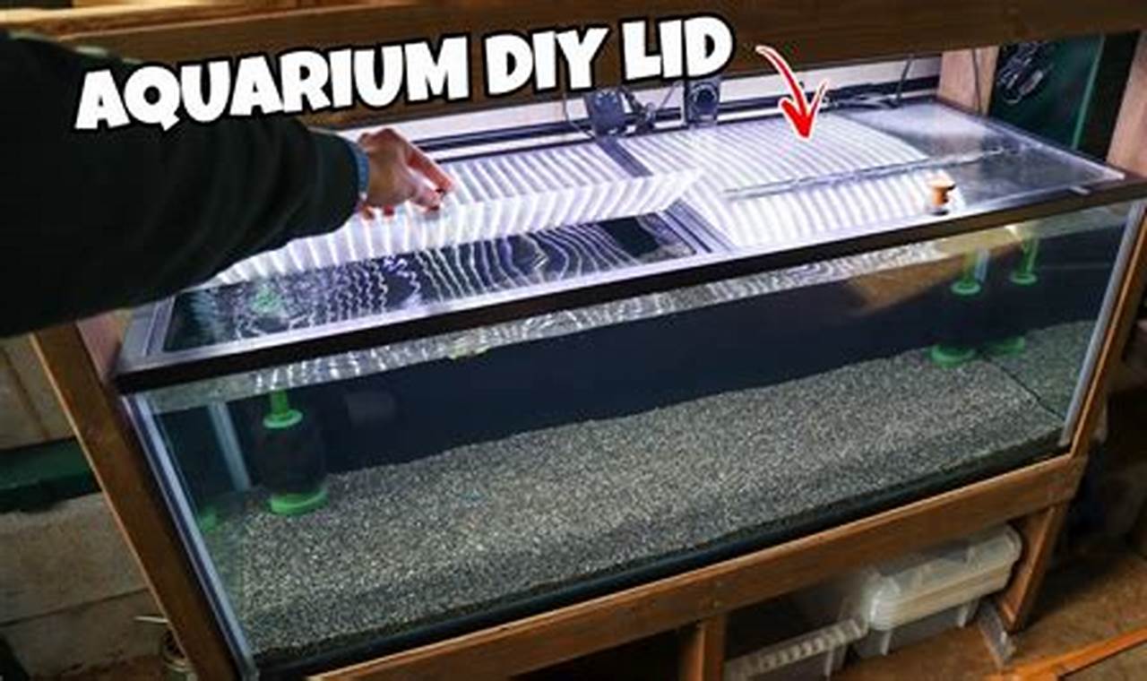 Build Your Own: DIY Fish Tank Lid Guide & Tips | The DIY Hub: Creative Crafts, Repairs & Life Hacks