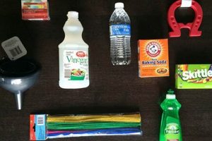 Unlock DIY Sci: Science at Home for Everyone! | The DIY Hub: Creative Crafts, Repairs & Life Hacks