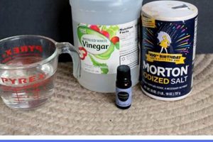 Easy DIY Rug Cleaner Solution: Save Money &amp; Clean! | The DIY Hub: Creative Crafts, Repairs & Life Hacks