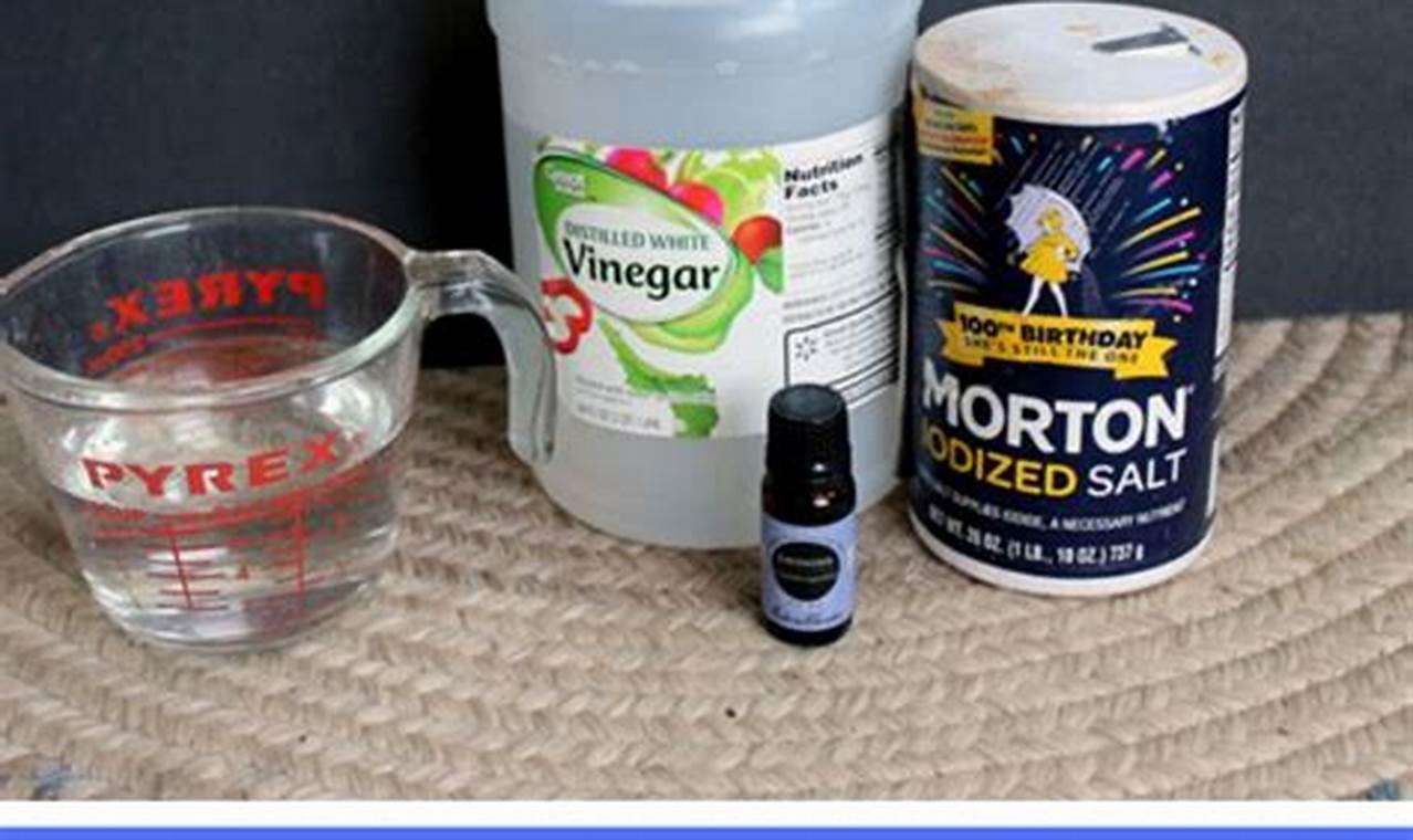 Easy DIY Rug Cleaner Solution: Save Money &amp; Clean! | The DIY Hub: Creative Crafts, Repairs & Life Hacks