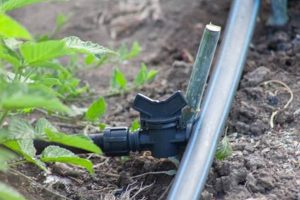 Easy DIY Drip Irrigation: Save Water &amp; Money! | The DIY Hub: Creative Crafts, Repairs & Life Hacks