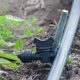 Easy DIY Drip Irrigation: Save Water &amp; Money! | The DIY Hub: Creative Crafts, Repairs & Life Hacks