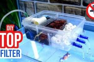 Build a Better Filter: DIY Fish Tank Filter Guide | The DIY Hub: Creative Crafts, Repairs & Life Hacks