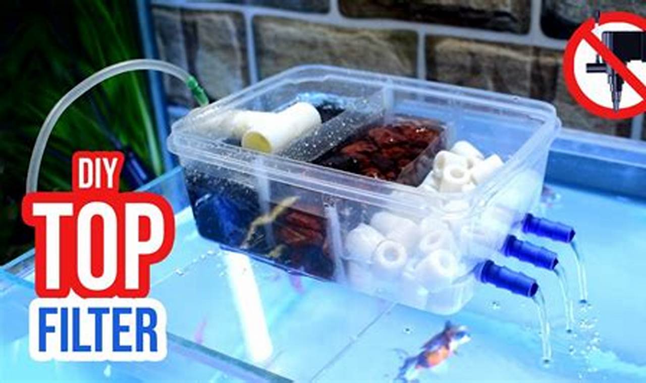 Build a Better Filter: DIY Fish Tank Filter Guide | The DIY Hub: Creative Crafts, Repairs & Life Hacks