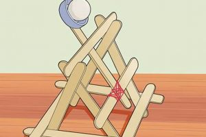 Build a Better Catapult: DIY Launching Fun! | The DIY Hub: Creative Crafts, Repairs & Life Hacks