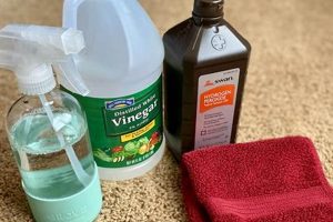 Easy Carpet Cleaner DIY: Clean Like a Pro! | The DIY Hub: Creative Crafts, Repairs & Life Hacks