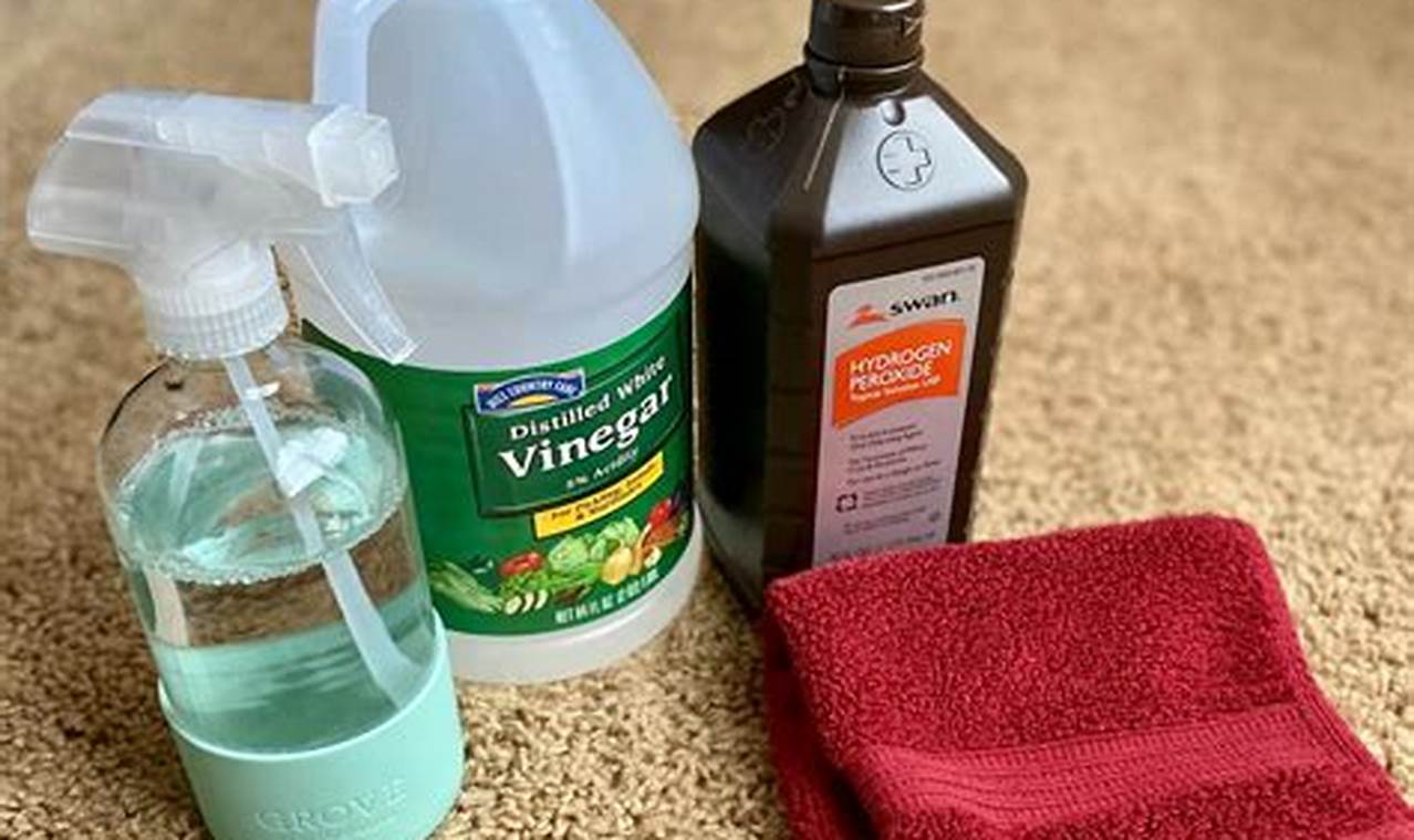 Easy Carpet Cleaner DIY: Clean Like a Pro! | The DIY Hub: Creative Crafts, Repairs & Life Hacks