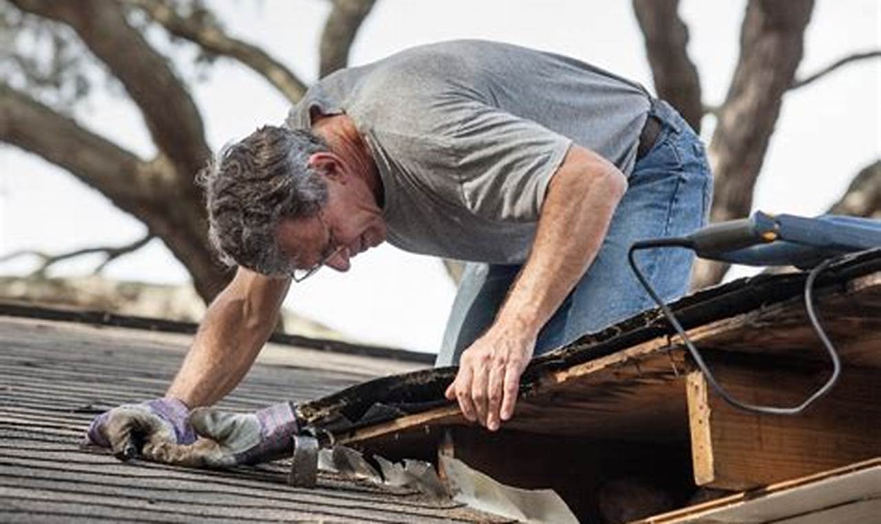 Easy DIY Roof Repair Guide: Save Money Now! | The DIY Hub: Creative Crafts, Repairs & Life Hacks