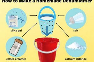 Easy DIY Dehumidification Hacks: Control Moisture Now! | The DIY Hub: Creative Crafts, Repairs & Life Hacks
