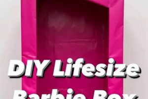 Easy DIY Barbie Box: Create Your Dream Doll Booth! | The DIY Hub: Creative Crafts, Repairs & Life Hacks