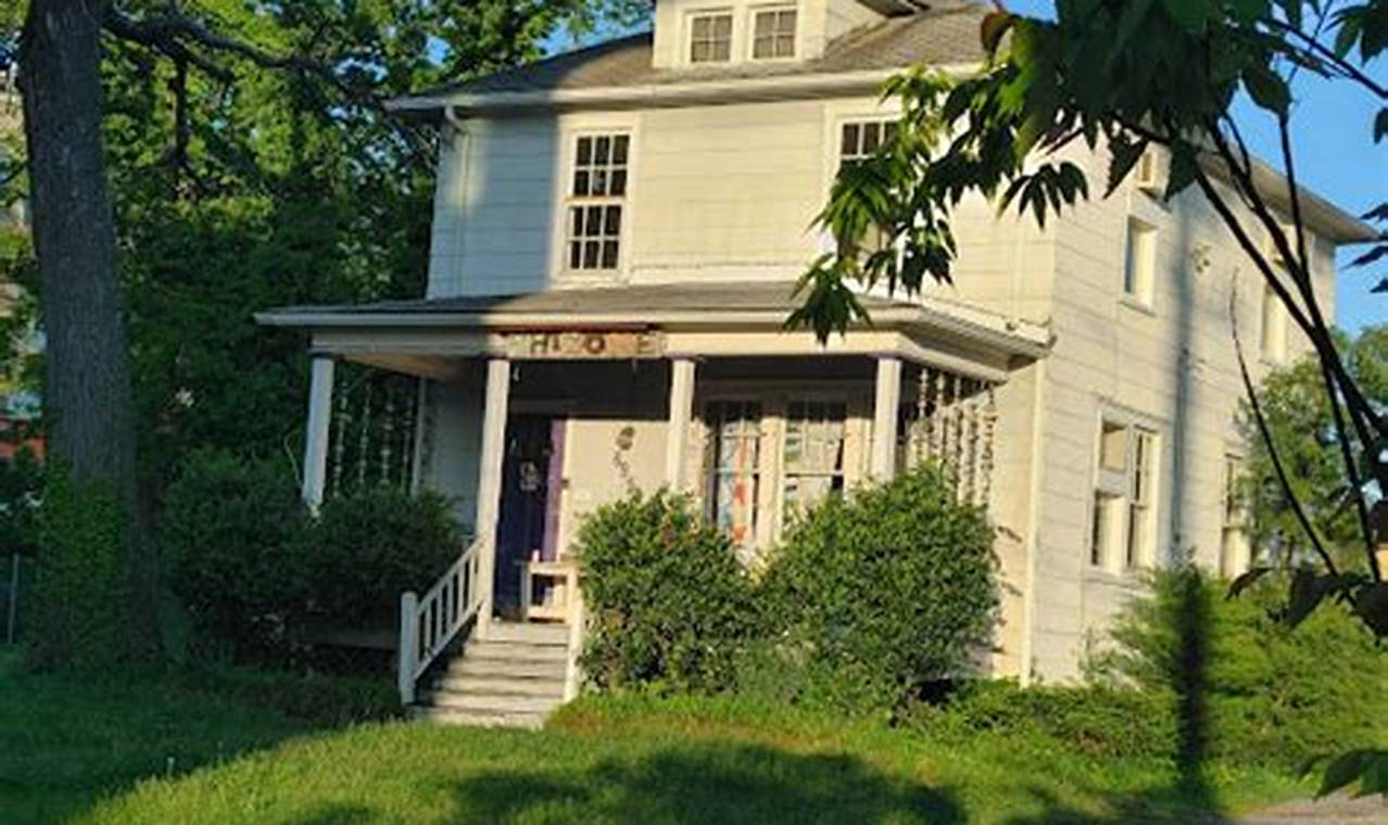 Learn Art the DIY Way: Rhizome DC Culture Hub | The DIY Hub: Creative Crafts, Repairs & Life Hacks