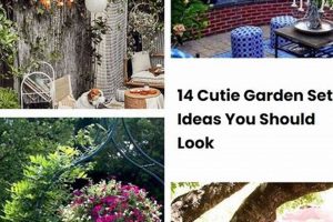 Budget DIY Garden Set: Build Your Outdoor Oasis | The DIY Hub: Creative Crafts, Repairs & Life Hacks