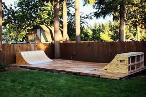 Build Your Dream: DIY Skatepark Designs & Ideas | The DIY Hub: Creative Crafts, Repairs & Life Hacks