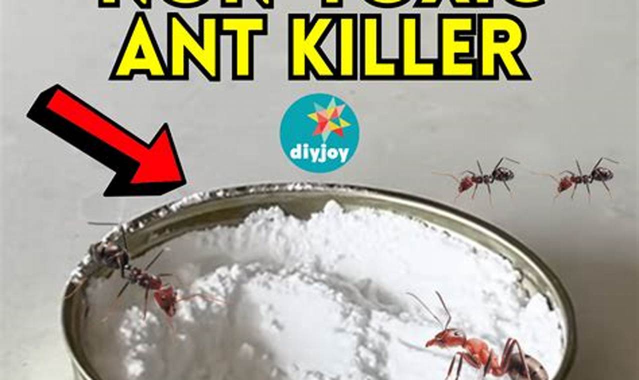 Best Ant DIY Killer Guide: Effective & Safe Solutions | The DIY Hub: Creative Crafts, Repairs & Life Hacks