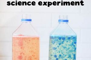 Easy DIY Lava Lamp for Kids: Fun & Safe Project! The DIY Hub: Creative Crafts, Repairs & Life Hacks Easy DIY Lava Lamp for Kids: Fun & Safe Project! | The DIY Hub: Creative Crafts, Repairs & Life Hacks